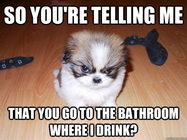 So you're telling me that you go to the bathroom where i drink? - So you're telling me that you go to the bathroom where i drink?  skeptical puppy