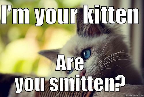 I'M YOUR KITTEN  ARE YOU SMITTEN? First World Problems Cat