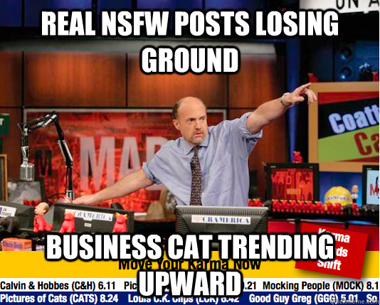 Real NSFW posts losing ground Business cat trending upward  move your karma now