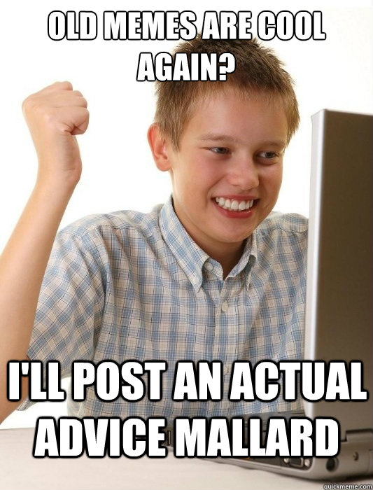 old memes are cool again? i'll post an actual advice mallard  First Day on the Internet Kid
