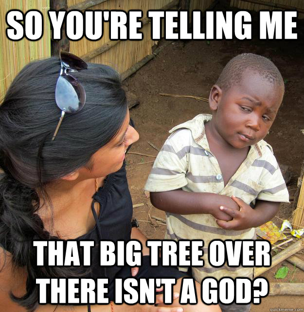 So you're telling me that big tree over there isn't a god?  Skeptical Third World Child