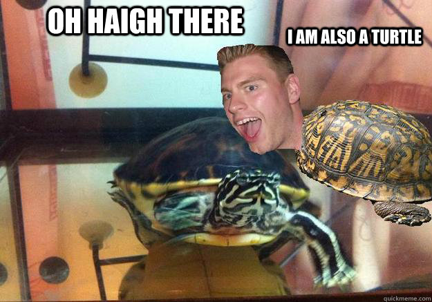 Oh haigh there i am also a turtle  