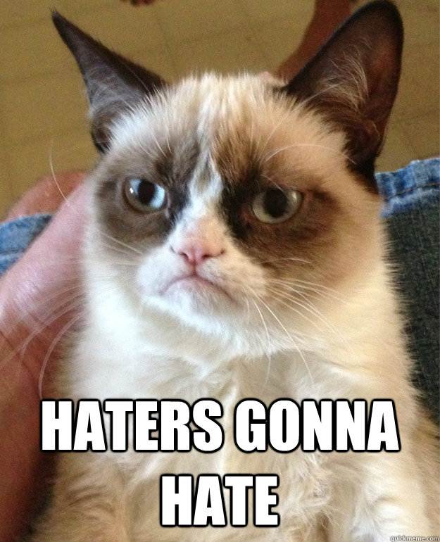  Haters gonna hate  Grumpy Cat
