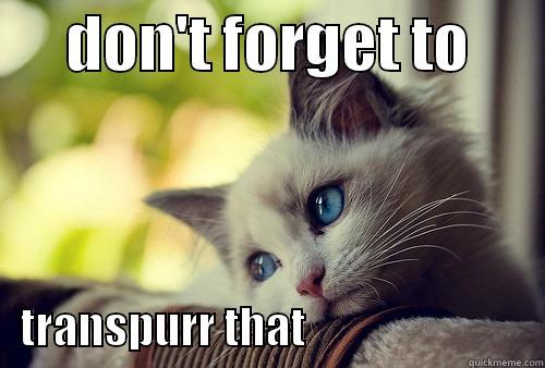 transpurr cat -      DON'T FORGET TO          TRANSPURR THAT                           First World Problems Cat