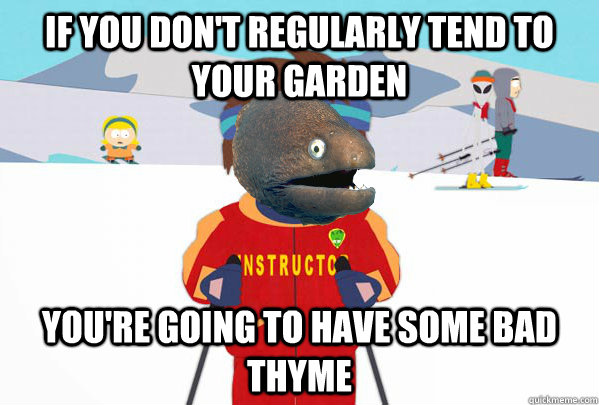 If you don't regularly tend to your garden You're going to have some bad thyme - If you don't regularly tend to your garden You're going to have some bad thyme  Bad Joke Ski Instructor Eel