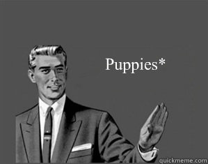 Puppies*  Grammar Guy