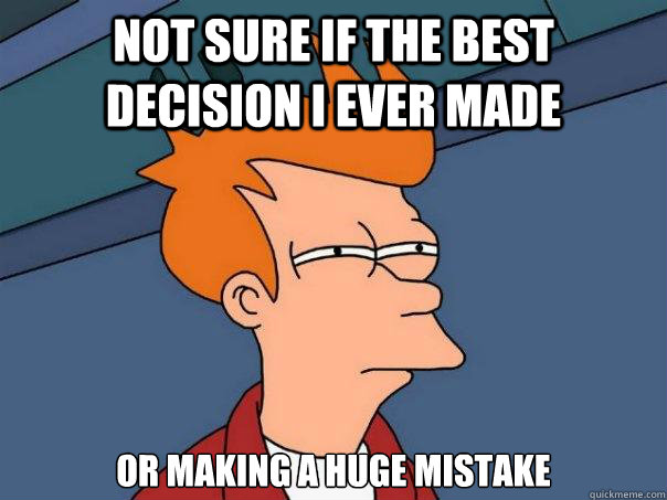 Not sure if the best decision i ever made Or making a huge mistake - Not sure if the best decision i ever made Or making a huge mistake  Futurama Fry