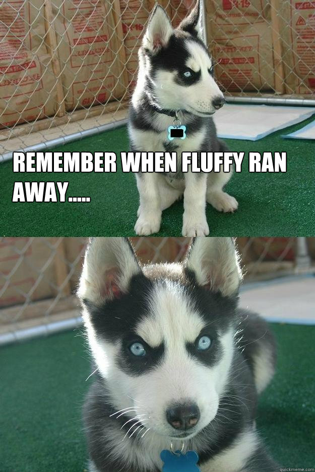 Remember when Fluffy ran away.....   Insanity puppy