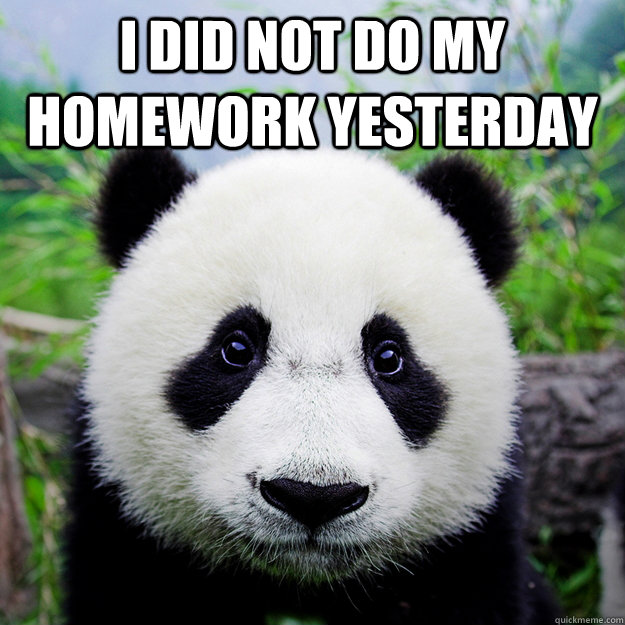 I did not do my homework yesterday   sad party panda