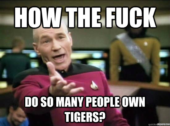 How the fuck do so many people own tigers?  Annoyed Picard HD