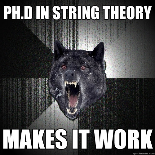 ph.d in string theory makes it work  Insanity Wolf