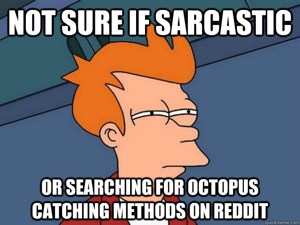 Not sure if sarcastic Or searching for octopus catching methods on reddit - Not sure if sarcastic Or searching for octopus catching methods on reddit  Futurama Fry
