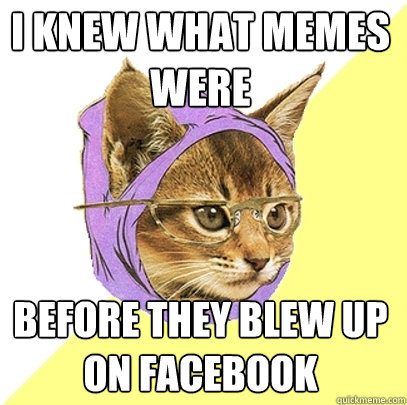 I knew what memes were before they blew up on Facebook  Hipster Kitty