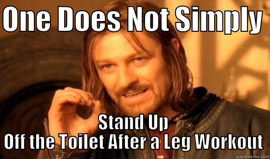 ONE DOES NOT SIMPLY  STAND UP OFF THE TOILET AFTER A LEG WORKOUT Boromir