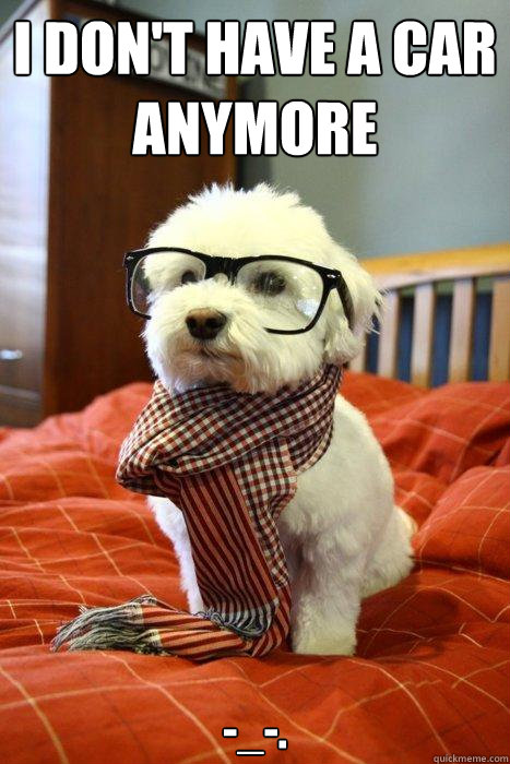 I don't have a car anymore -_-.  Hipster Dog