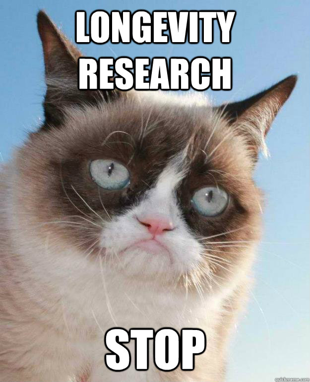 Longevity Research Stop - Longevity Research Stop  GoPackNopeGrumpyCat
