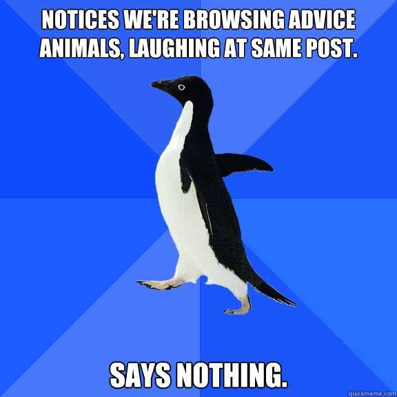 Notices we're browsing advice animals, laughing at same post. Says nothing. - Notices we're browsing advice animals, laughing at same post. Says nothing.  Socially Awkward Penguin