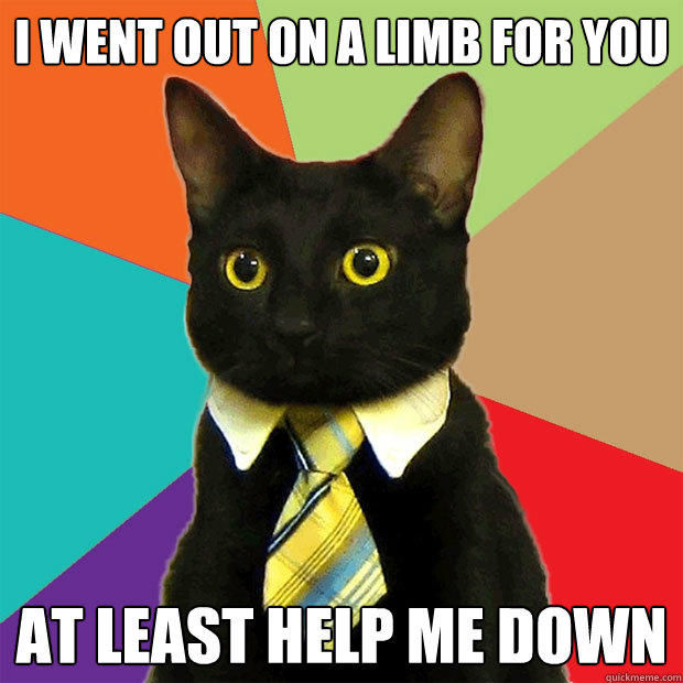 I went out on a limb for you at least help me down  