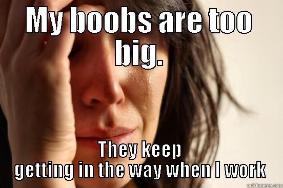 MY BOOBS ARE TOO BIG. THEY KEEP GETTING IN THE WAY WHEN I WORK First World Problems