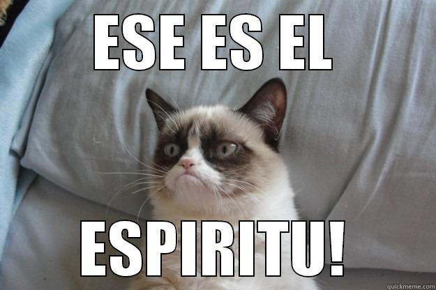 ESE ES EL ESPÍRITU! Grumpy Cat