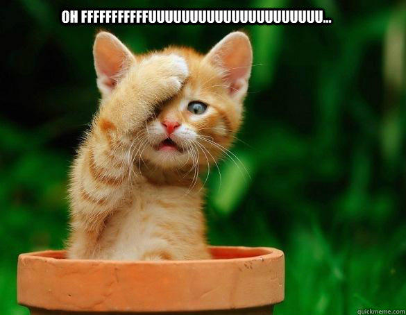 oh fffffffffffuuuuuuuuuuuuuuuuuuuuu...  careless cat