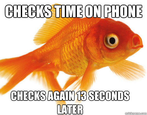 checks time on phone checks again 13 seconds later  Forgetful Fish