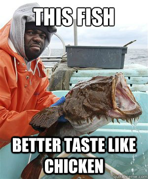 This fish better taste like chicken - This fish better taste like chicken  Annoyed black fisherman