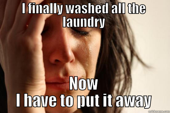 I FINALLY WASHED ALL THE LAUNDRY NOW I HAVE TO PUT IT AWAY First World Problems