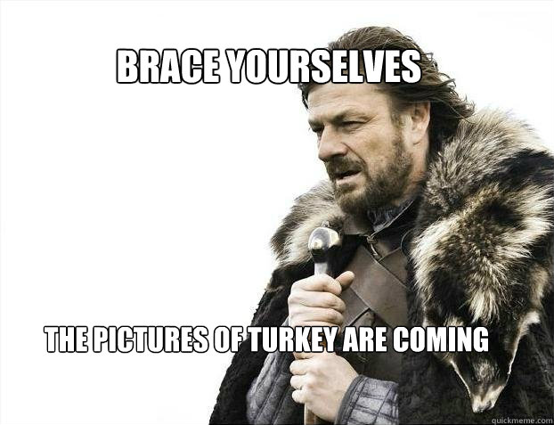 Brace yourselves The pictures of turkey are coming  BRACE YOURSELF TIMELINE POSTS