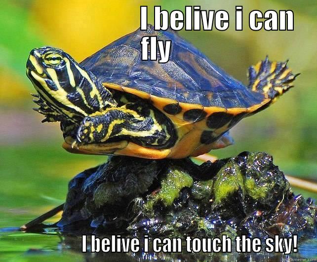                        I BELIVE I CAN FLY                    I BELIVE I CAN TOUCH THE SKY! Misc