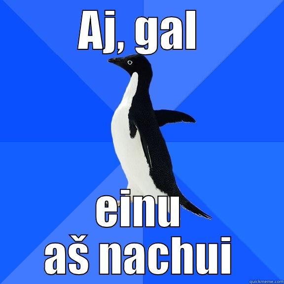 AJ, GAL EINU AŠ NACHUI Socially Awkward Penguin