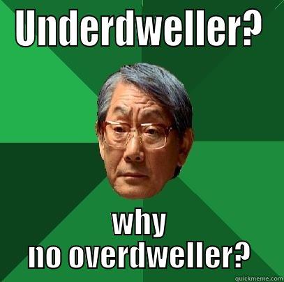 UNDERDWELLER? WHY NO OVERDWELLER? High Expectations Asian Father