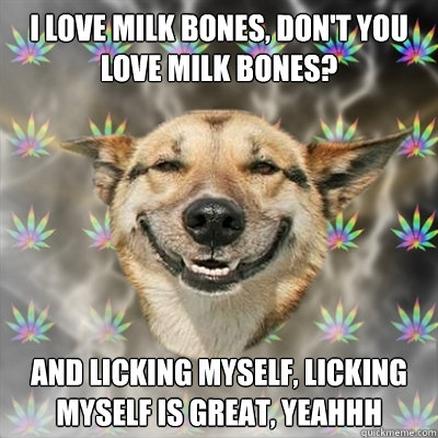 I love milk bones, don't you love milk bones? And licking myself, licking myself is great, yeahhh  Stoner Dog