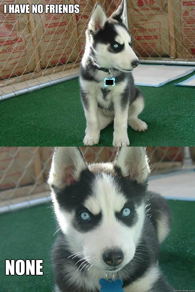 I have no friends None  Insanity puppy