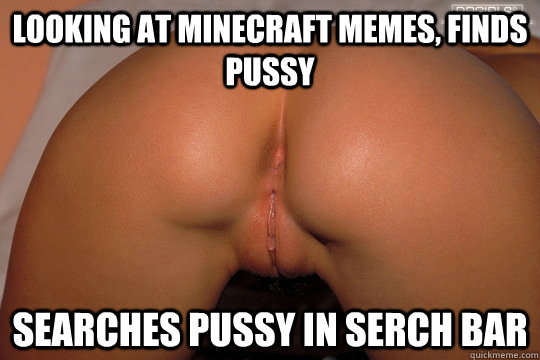looking at minecraft memes, finds pussy searches pussy in serch bar.