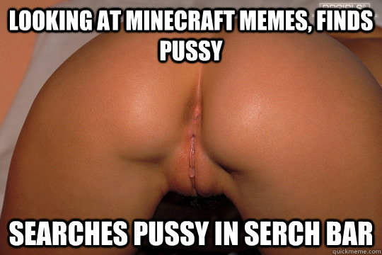 looking at minecraft memes, finds pussy searches pussy in serch bar - looking at minecraft memes, finds pussy searches pussy in serch bar  Minecraft