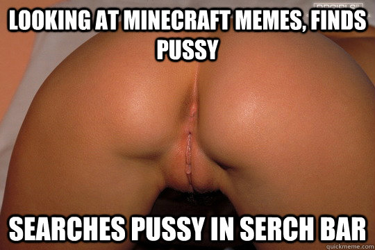 looking at minecraft memes, finds pussy searches pussy in serch bar  Minecraft