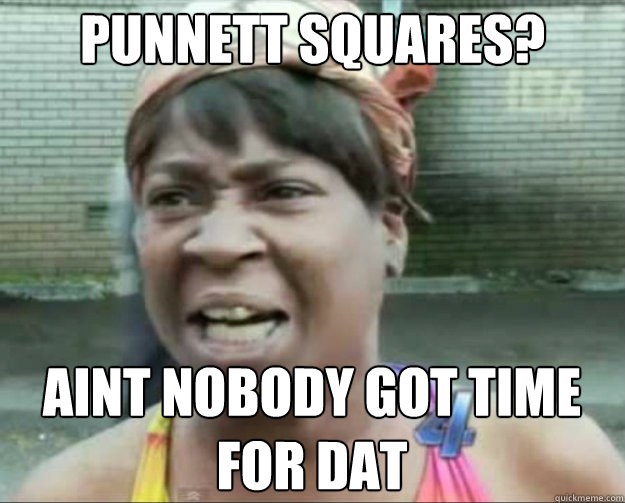 PUNNETt SQUARES? AINT NOBODY GOT TIME FOR DAT  aint nobody got time fo dat