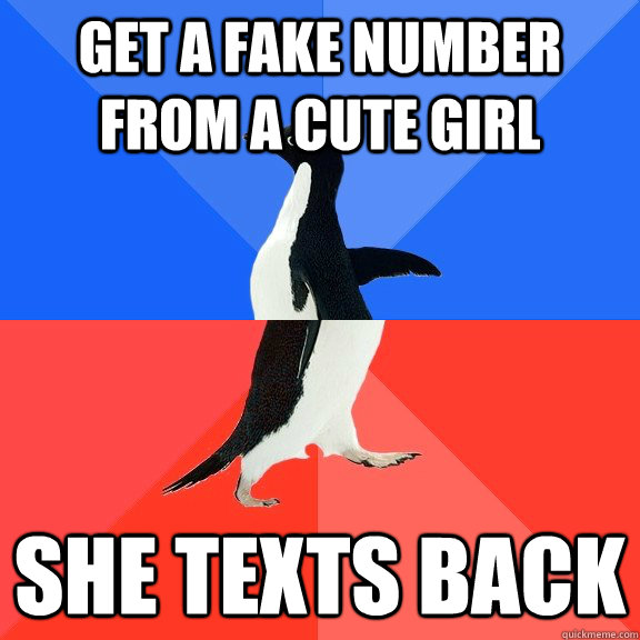 Get a fake number from a cute girl She texts back  Socially Awkward Awesome Penguin