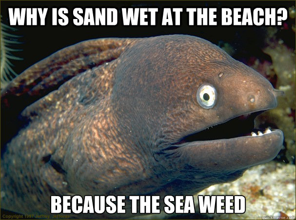 Why is sand wet at the beach? Because the sea weed  Bad Joke Eel
