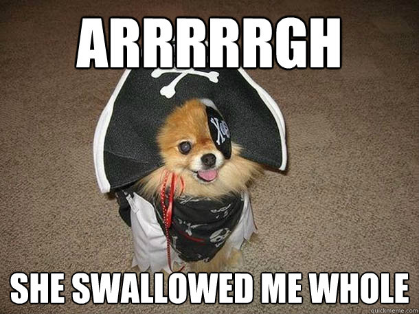 Arrrrrgh She swallowed me whole  Inappropriate Sexual Innuendo Dog That Talks and Dresses Like a Pirate