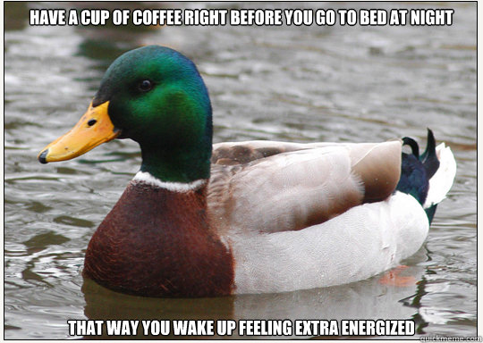 Have a cup of coffee right before you go to bed at night That way you wake up feeling extra energized - Have a cup of coffee right before you go to bed at night That way you wake up feeling extra energized  Bad-Advice Mallard