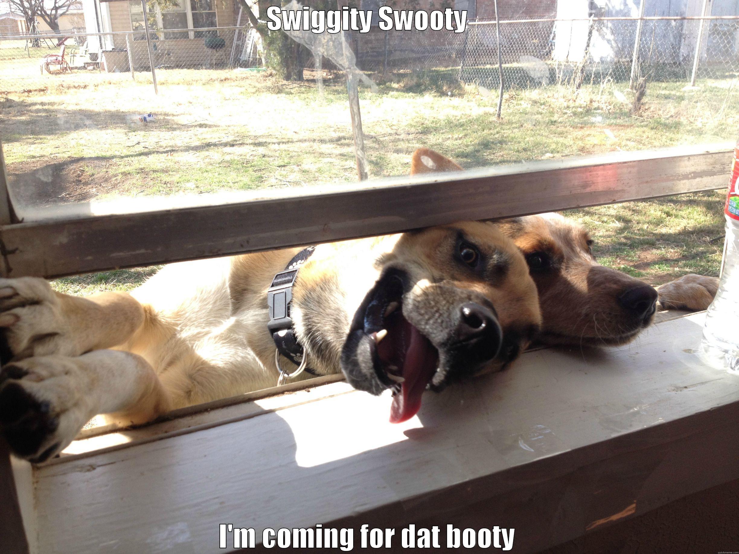 DOG Window - SWIGGITY SWOOTY I'M COMING FOR DAT BOOTY Misc