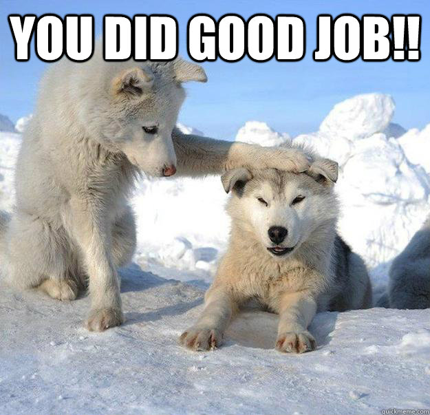 You did good job!!  - You did good job!!   Caring Husky