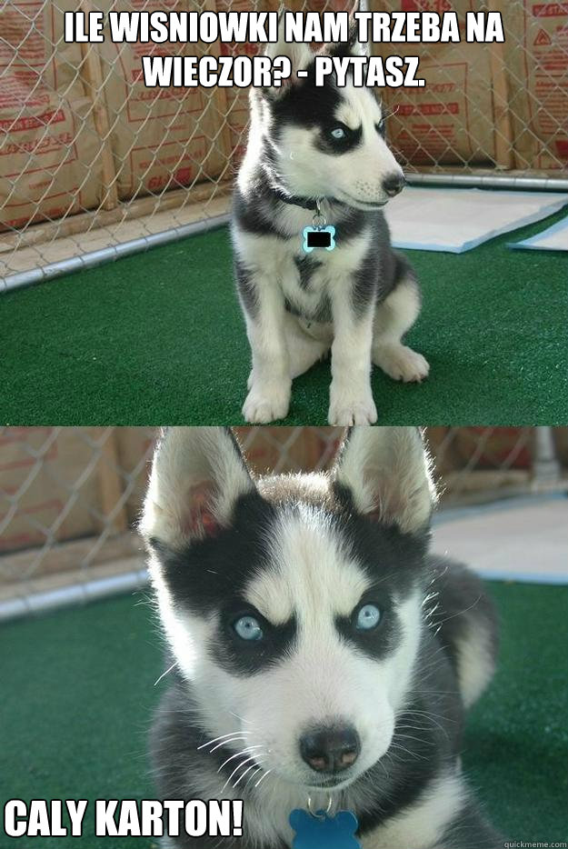 ile wisniowki nam trzeba na wieczor? - pytasz. caly karton!  Insanity puppy