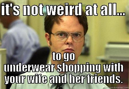 IT'S NOT WEIRD AT ALL...  TO GO UNDERWEAR SHOPPING WITH YOUR WIFE AND HER FRIENDS. Schrute