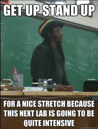 get up stand up for a nice stretch because this next lab is going to be quite intensive - get up stand up for a nice stretch because this next lab is going to be quite intensive  Rasta Science Teacher