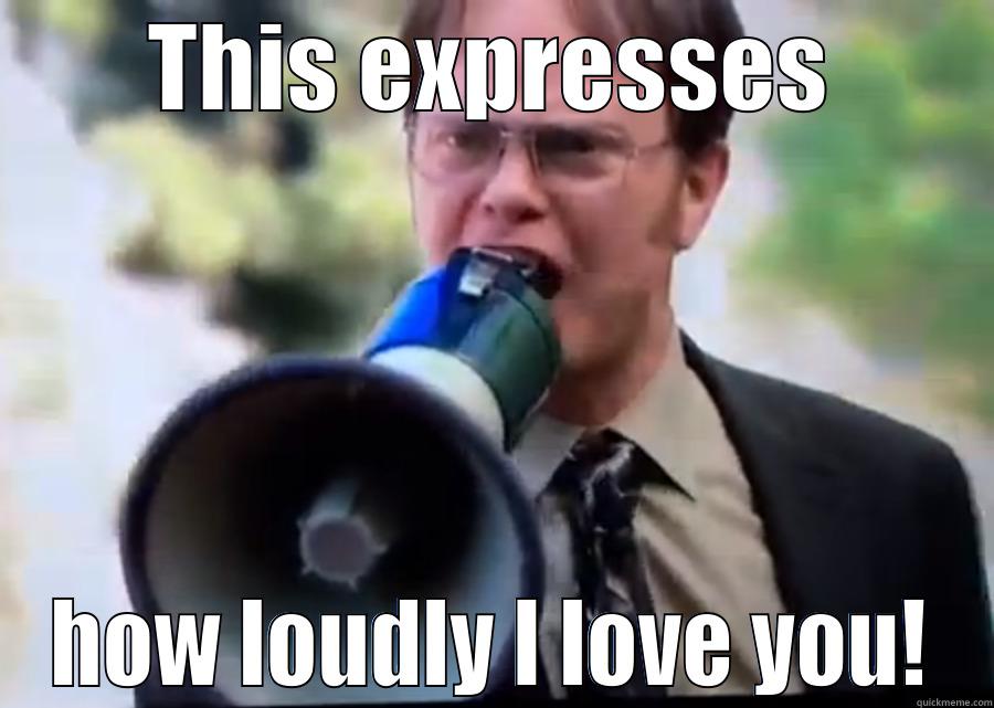Dwight and Angela - THIS EXPRESSES HOW LOUDLY I LOVE YOU! Misc