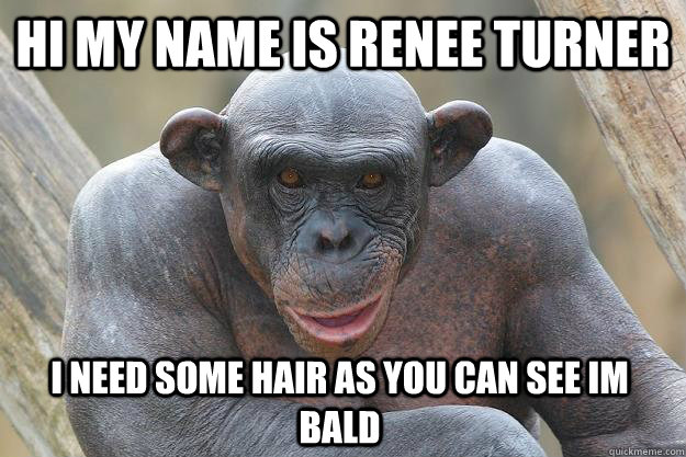 HI MY NAME IS RENEE TURNER  I NEED SOME HAIR AS YOU CAN SEE IM BALD   The Most Interesting Chimp In The World