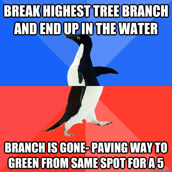 Break highest tree branch and end up in the water Branch is gone- paving way to green from same spot for a 5  Socially Awkward Awesome Penguin